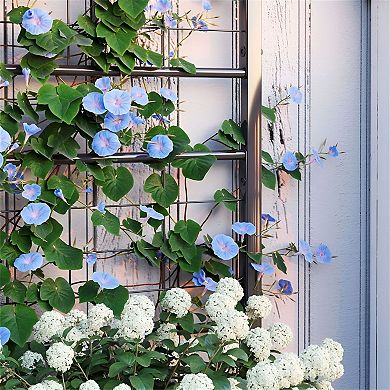 Diamond-Pattern Metal Garden Trellis for Climbing Plants, Vines, or Flowers - Black