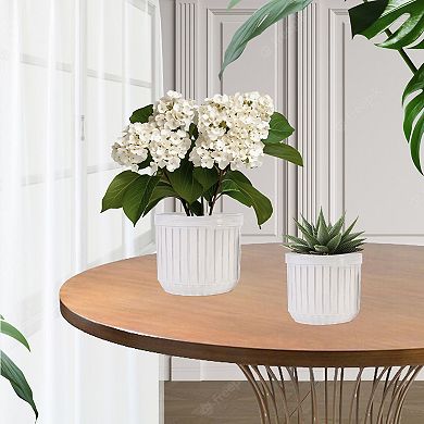 Loheer Handmade Ceramic Planter Pots Set of 4 with Vertical Line Design for Succulents and Cacti