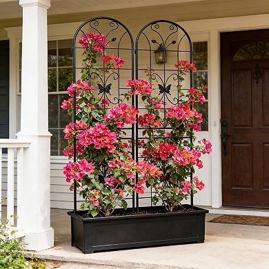 Loheer 2 Pack Metal Garden Trellis for Climbing Plants Outdoor Plant Support