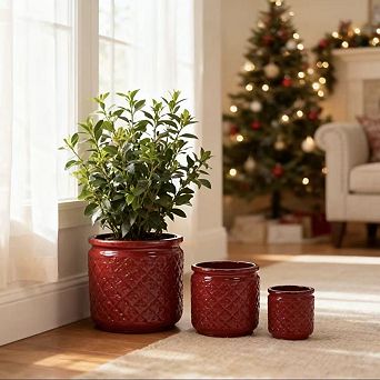 Loheer Handmade Burgundy Ceramic Planter Set of 3 with Diamond Texture for Indoor Plants