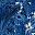 Blue Flower