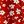 Red Floral