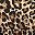 Leopard Print