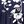Navy Flower