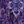 Purple Floral Print