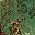 Green Floral