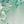 Light Green Floral