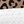 Leopard White Brown