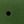 Green Black