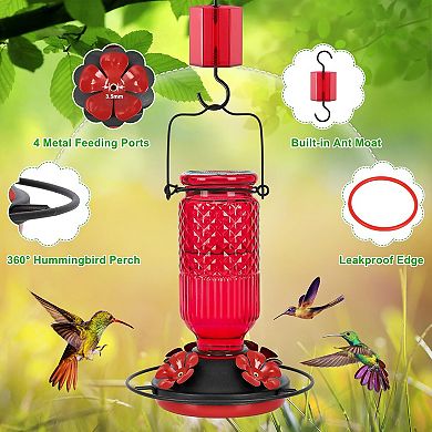 16oz 4 feeding Glass Hummingbird Feeder Hanging Bee Guard Ant