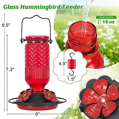 16oz 4 feeding Glass Hummingbird Feeder Hanging Bee Guard Ant