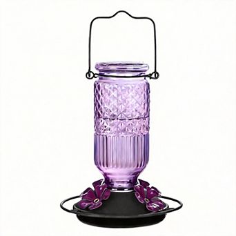 16oz 4 feeding Glass Hummingbird Feeder Hanging Bee Guard Ant