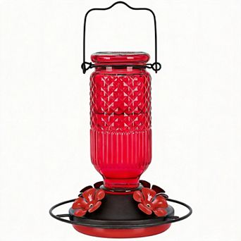 16oz 4 feeding Glass Hummingbird Feeder Hanging Bee Guard Ant