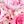 Pink Green