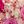 Pink White