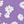 Purple Flower