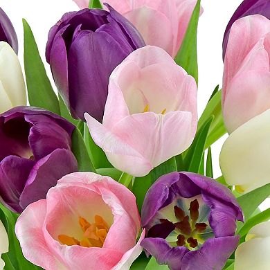 Tulips Fresh Flowers Glass Vase Gift