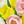 Yellow White