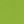 Olive Green S