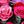 Pink Purple