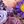Purple Pink