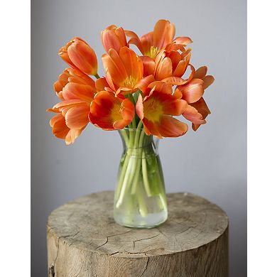 Tulips Bouquet With Vase Fresh Flowers
