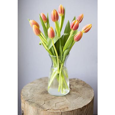 Tulips Bouquet With Vase Fresh Flowers