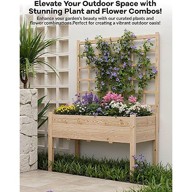 Raised Garden Bed with Trellis Elevated Flowerpot with Box Frame