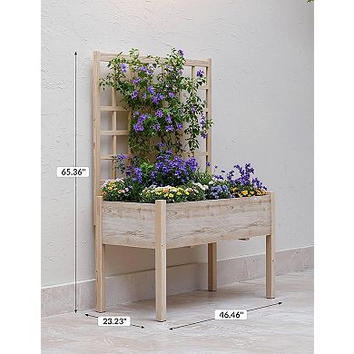 Raised Garden Bed with Trellis Elevated Flowerpot with Box Frame