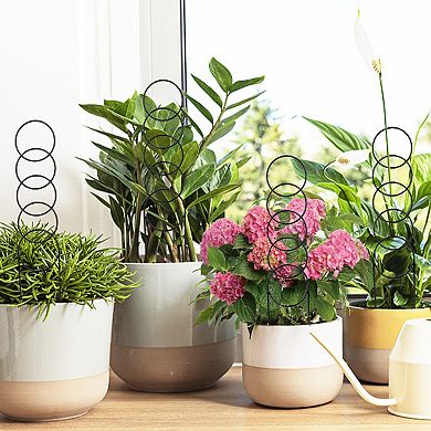 ANIXOL 12 Pack Plant Trellis for Climbing Plants Indoor