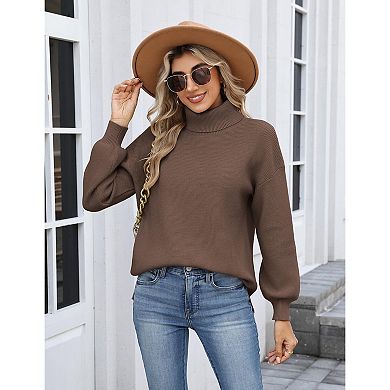 Zeagoo Women's Turtleneck Sweater, Fall Winter Chunky Knit, Casual Side Slit Pullover Jumper Top