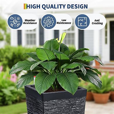 ANIXOL Self Watering Planter Set of 2 with Water Level Indicator