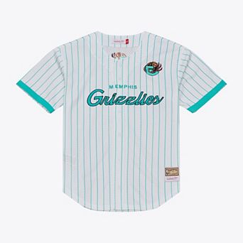 Men's Mitchell & Ness White Memphis Grizzlies Head Coach Pinstripe Mesh Full-Button Baseball Jersey