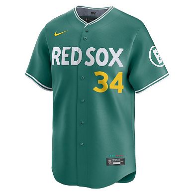 Men's Nike David Ortiz Green Boston Red Sox 2025 City Connect Limited Retired Player Jersey