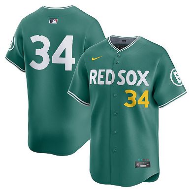 Men's Nike David Ortiz Green Boston Red Sox 2025 City Connect Limited Retired Player Jersey