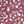 Metallic Orchid