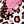 Butterfly Leopard