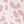 Pink Leopard