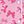 Pink Bow Print