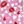 Pink Print