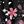 Black Cherry Pink