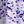 Black Grey Purple
