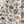 Beige Multi Floral