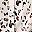 Leopard Apricot
