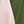 Black Green Pink