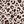 Leopard Print