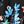 Flowers Blue Black