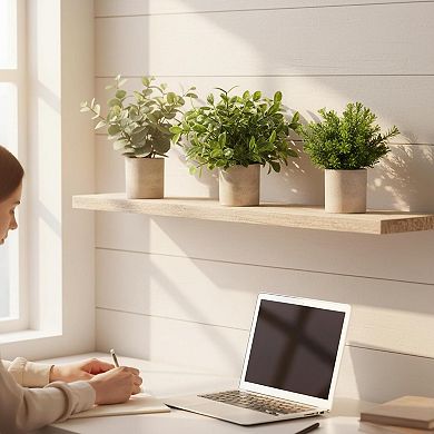 KSIZUIS 3 Pack Mini Artificial Eucalyptus Potted Plants for Home Office Decor