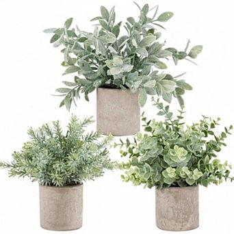 KSIZUIS 3 Pack Mini Artificial Eucalyptus Potted Plants for Home Office Decor