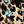 Butterfly Lepoard